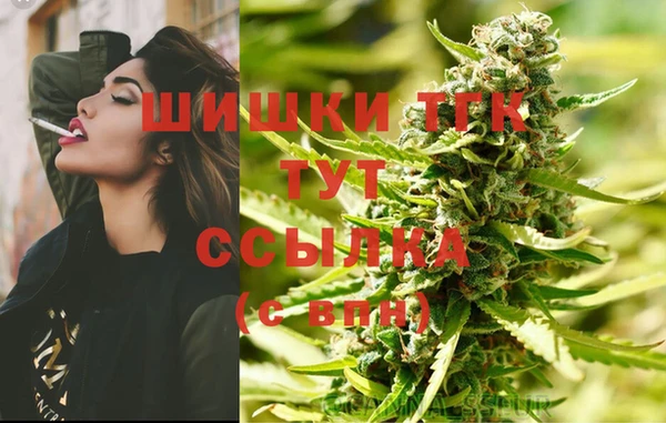 spice Баксан