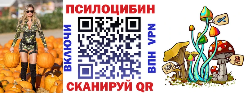 Купить  Каменногорск  Псилоцибиновые грибы мухоморы 